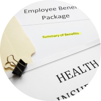 Employer Offered Coverage